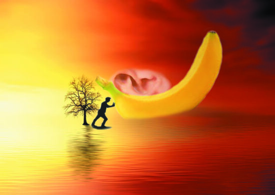 L’ouïe