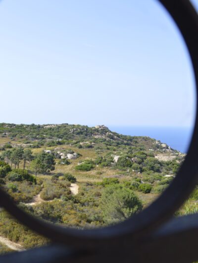Calvi